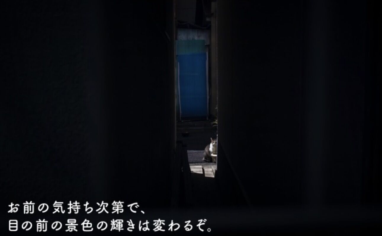 おはようございます