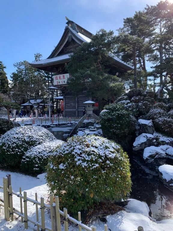 お久しぶりです