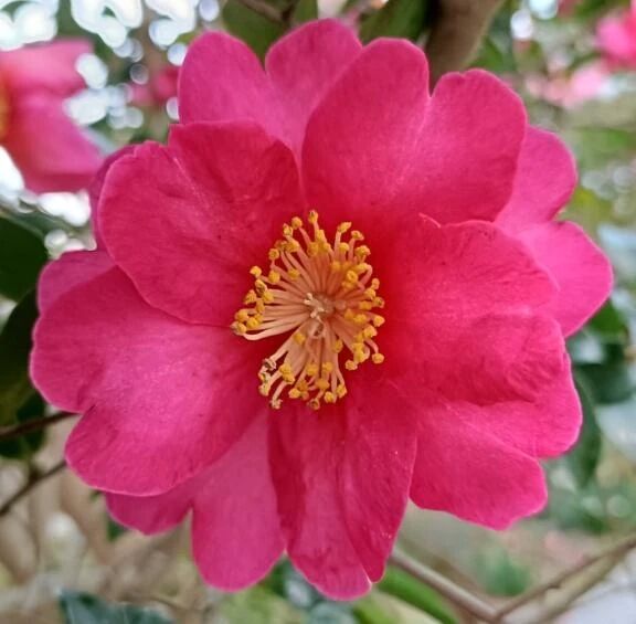 💕ありがとう💕