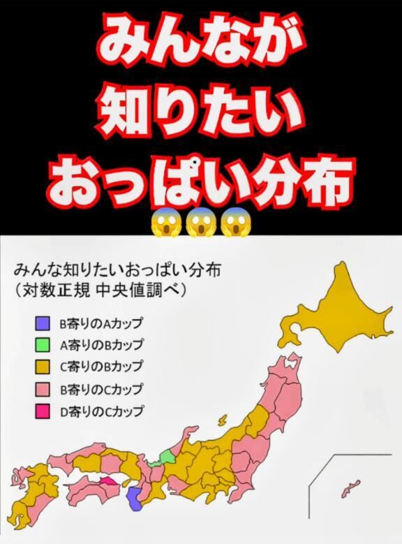 出勤しました🐷✨