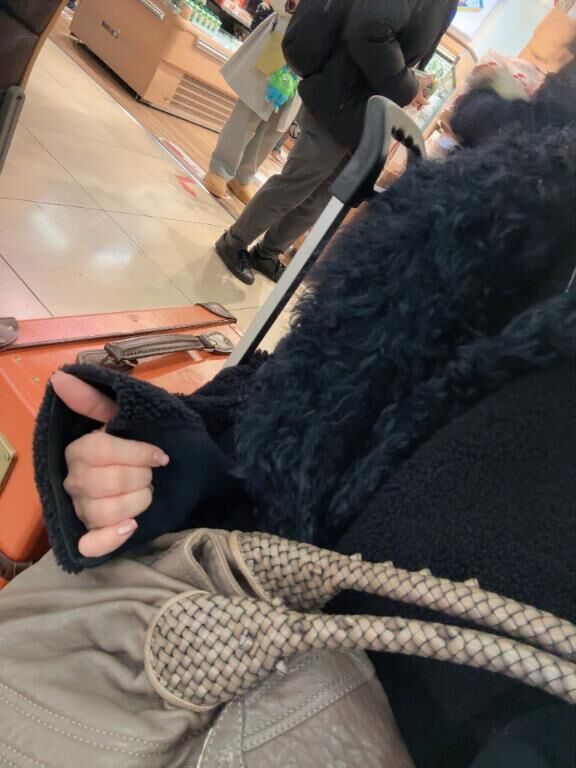 新幹線とホテルと