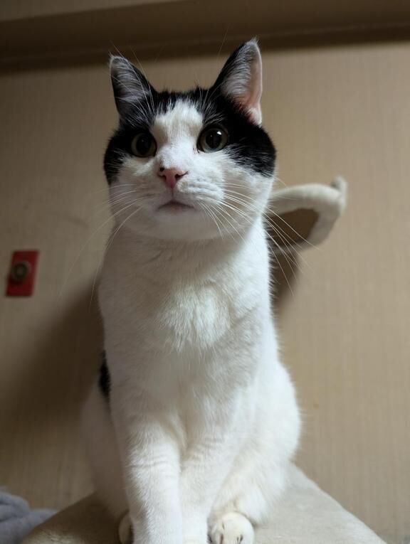 アホなんですか？