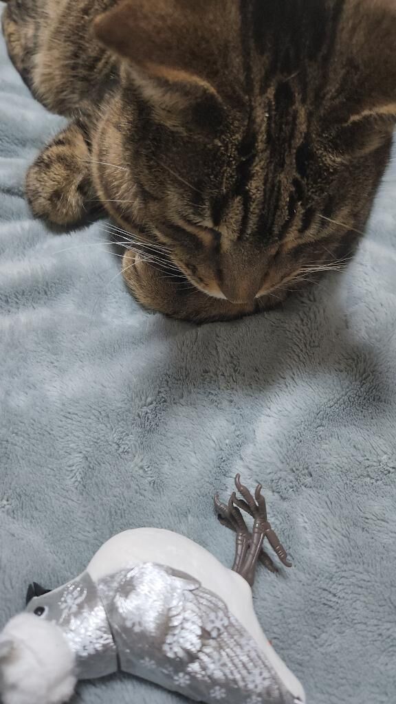 [お題]from:二択だよ♪さん