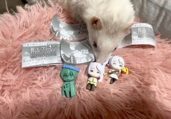 葬送のフリーレン切ない😢💓