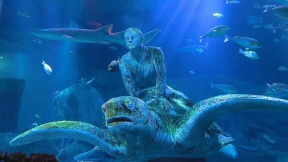 日曜日と月曜日