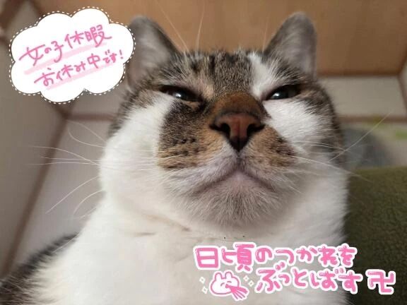 お休みいただいてます🙇🏻&zwj;♀️