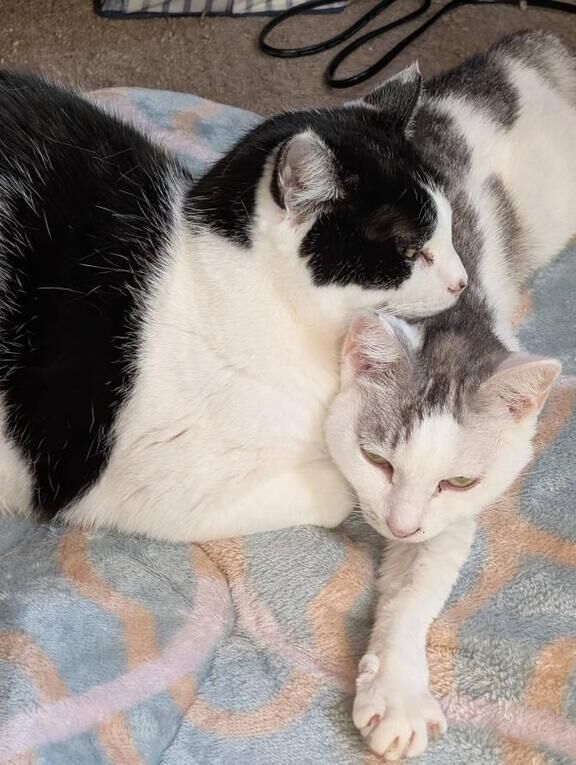 乗っからない人々