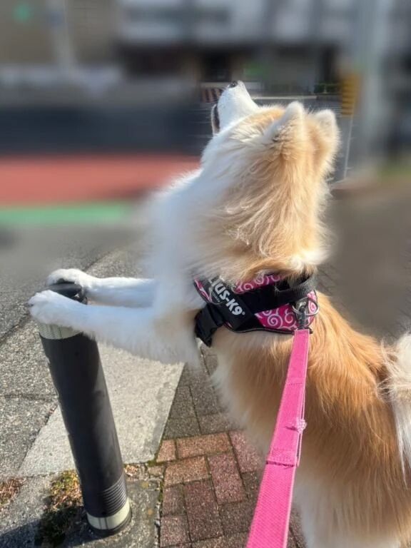 寝て終わった日😊