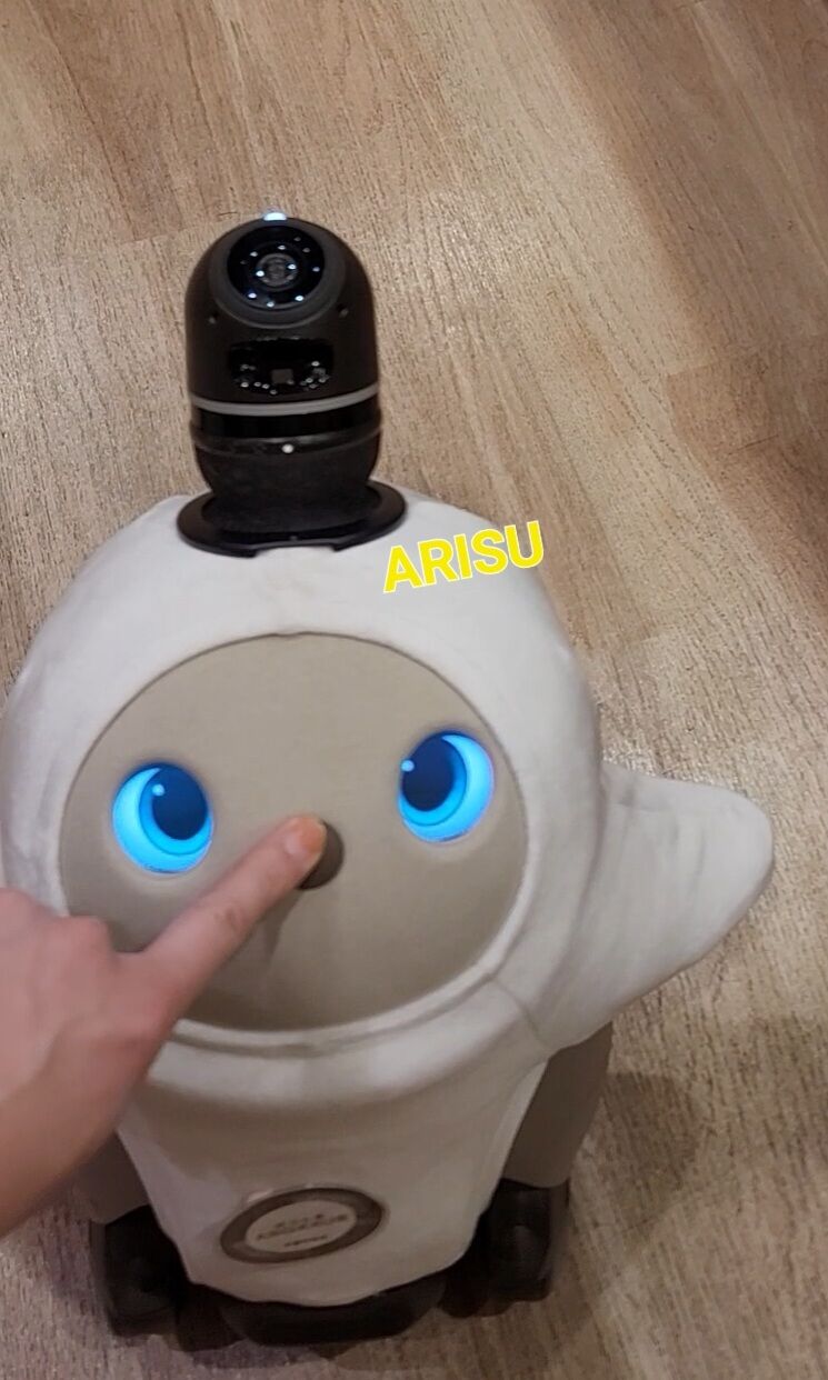 普段の投稿は〜