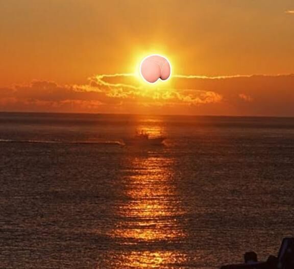 おはようございます