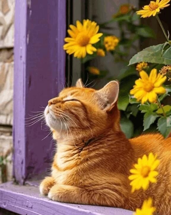 出勤してますよ^_^