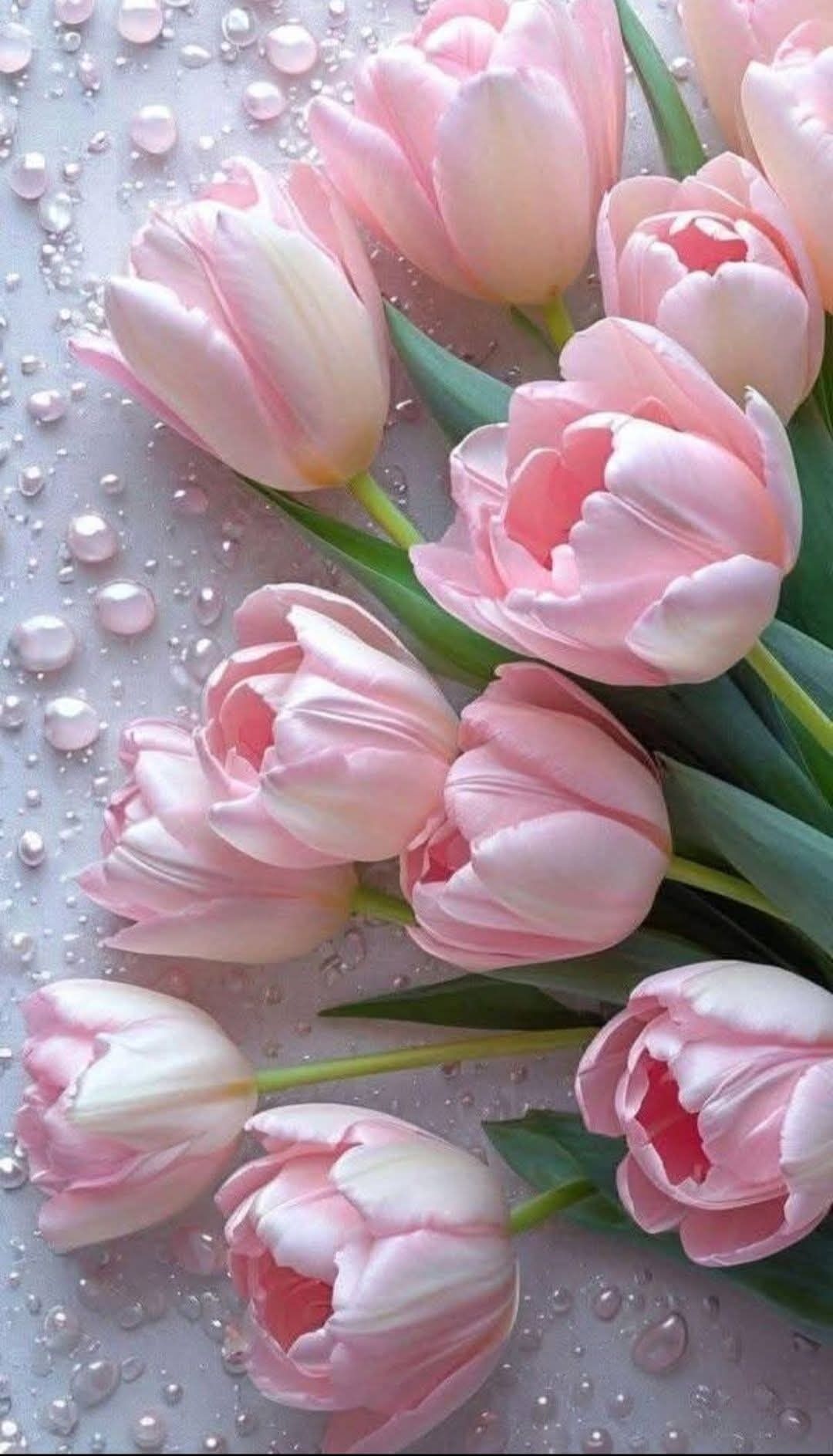 ありがとうございました