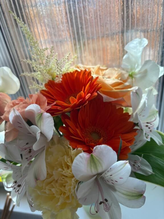 おはようございます