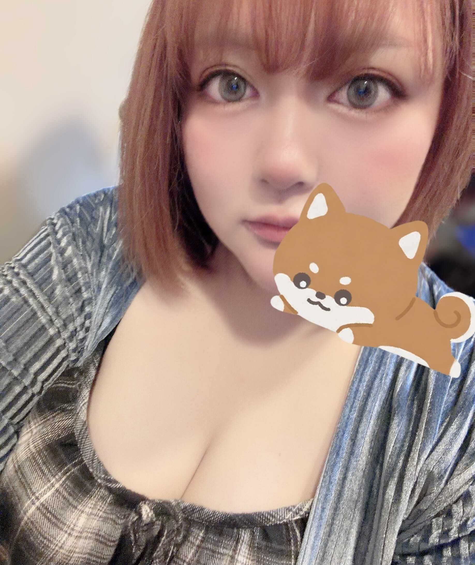 お早めにฅ^&bull;ﻌ&bull;^ฅ