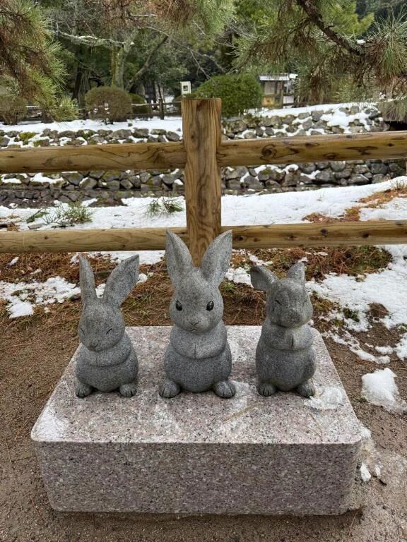 申し訳ありません🙇&zwj;♀️