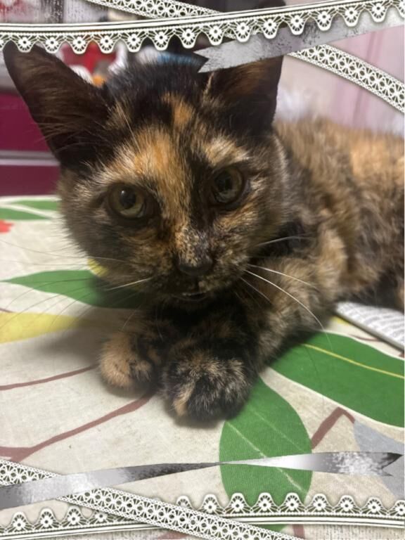 今日のお礼です♡