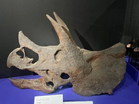 16日から出勤だよ〜！！