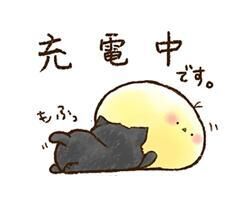 おはようございます