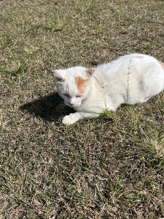 おはようございます