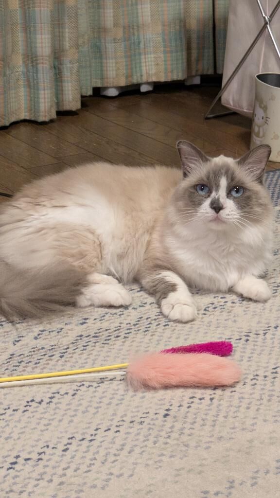 おはようございます