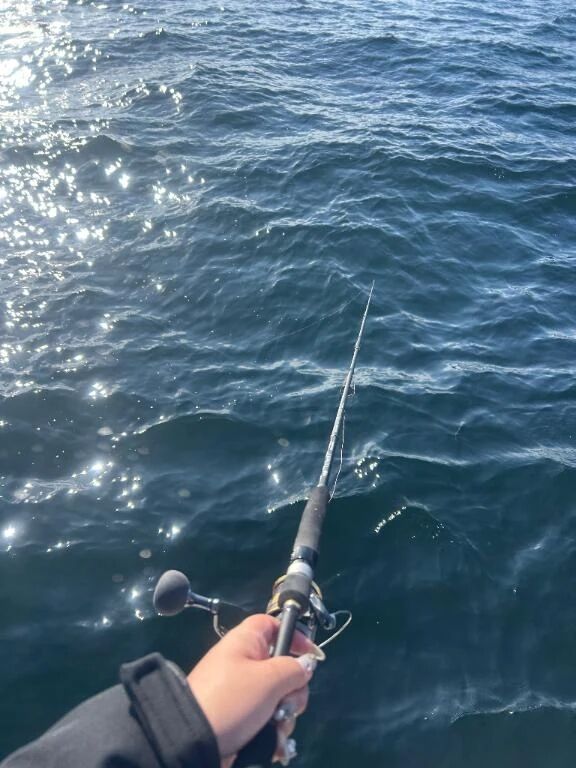 &lrm;🤍ハマってるコト&lrm;🤍