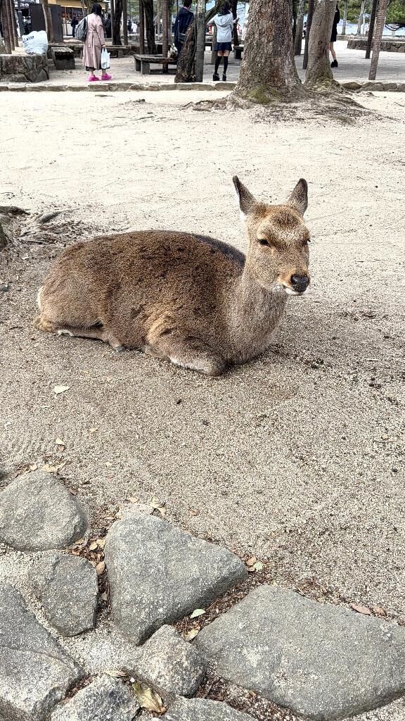 なにしてるのー！