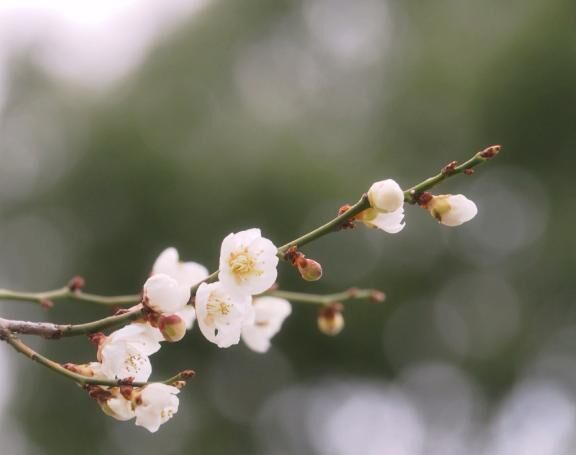 ♡♡千春の日記♡♡