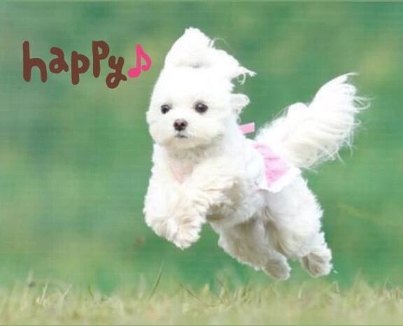 向かってま〜す☆〜♪