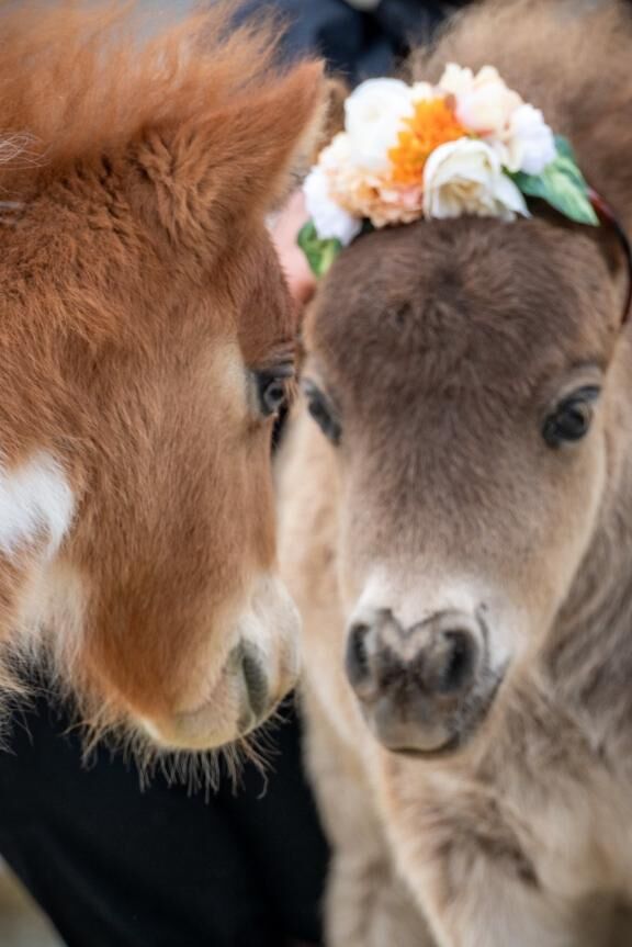 ♡♡(♡♡♡♡♡♡♡♡ )