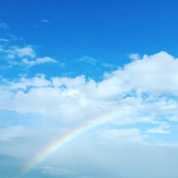 お休みします♡♡