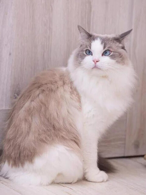 見た目？中身？♡