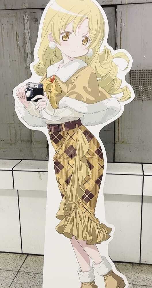 昨日駅にまみちゃんがおったとᕷ⋆͛