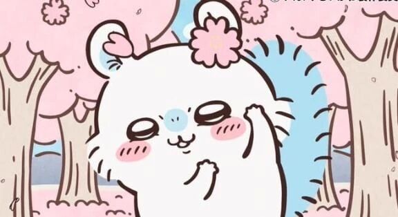 🍑プロフィール