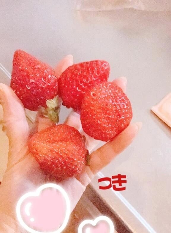 遠方からのお客様