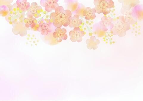 おはようございます♡