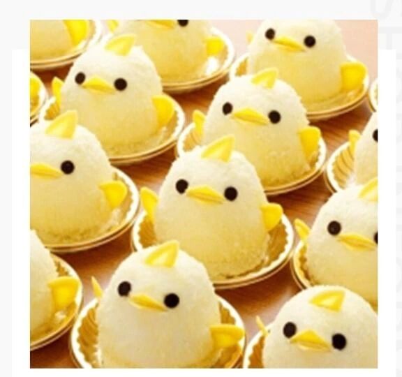 おはようございます