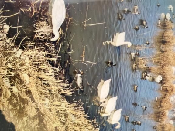 人生で大切な『かきくけこ』とは…