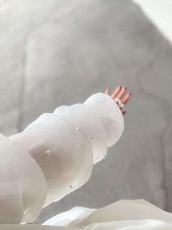 おはようございます♡