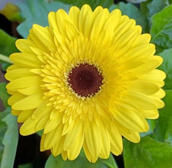 💕ありがとう💕