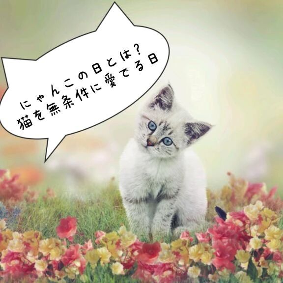 猫の日