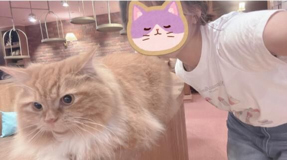 ご予約ありがとう♡