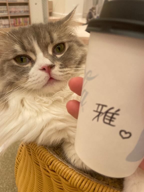 にゃんにゃんにゃんの日