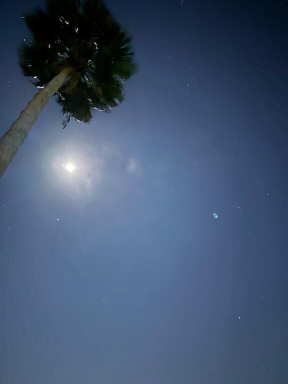 なみ 卒業します♡♡♡