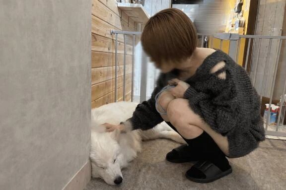 おやすみなさい