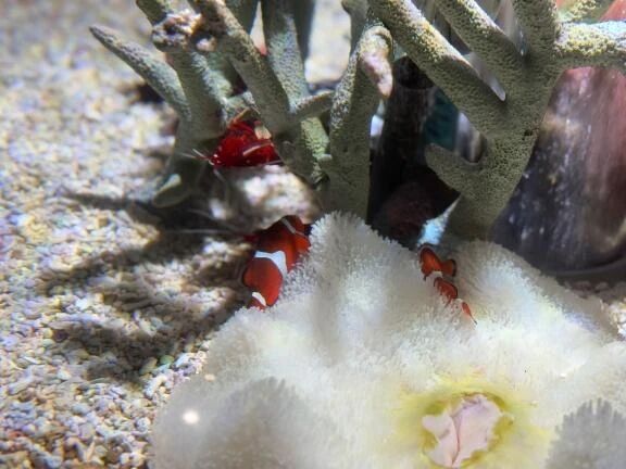 またあした💫✨