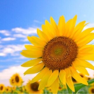 豊橋の、、、❤️