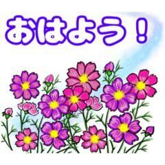 おはようございます♡