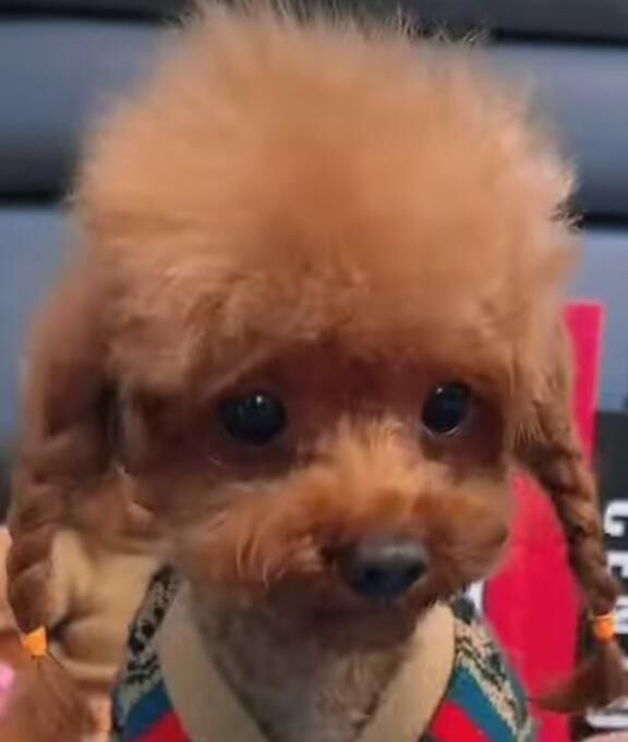 〜安城にきたょ〜