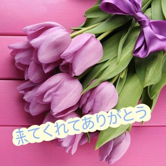 お礼＆まだまだ