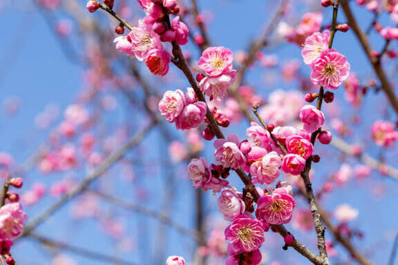 ２月ありがとうございました！